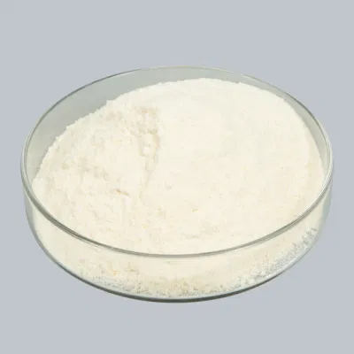 Resina poliammidica solubile in alcool CAS: 63428